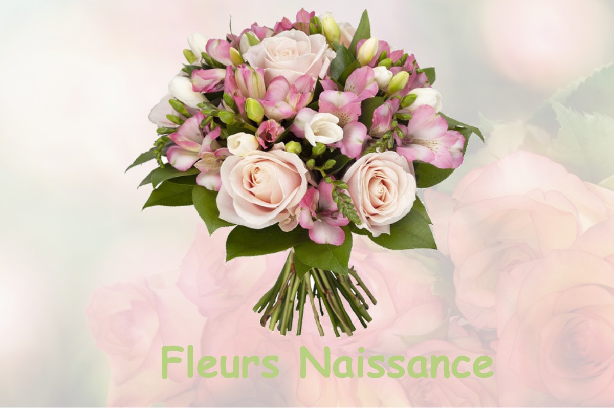 fleurs naissance CINTEGABELLE