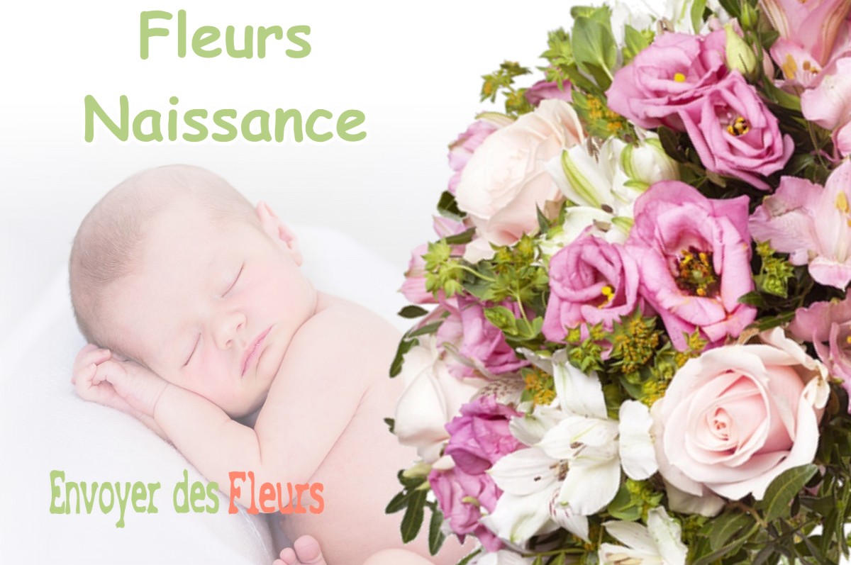 lIVRAISON FLEURS NAISSANCE à CINTEGABELLE