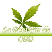 LA BOUTIQUE DU CBD CINTEGABELLE 